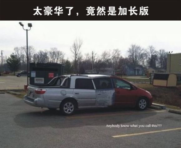 134702mn1fxvyqgbnog46q.jpg
